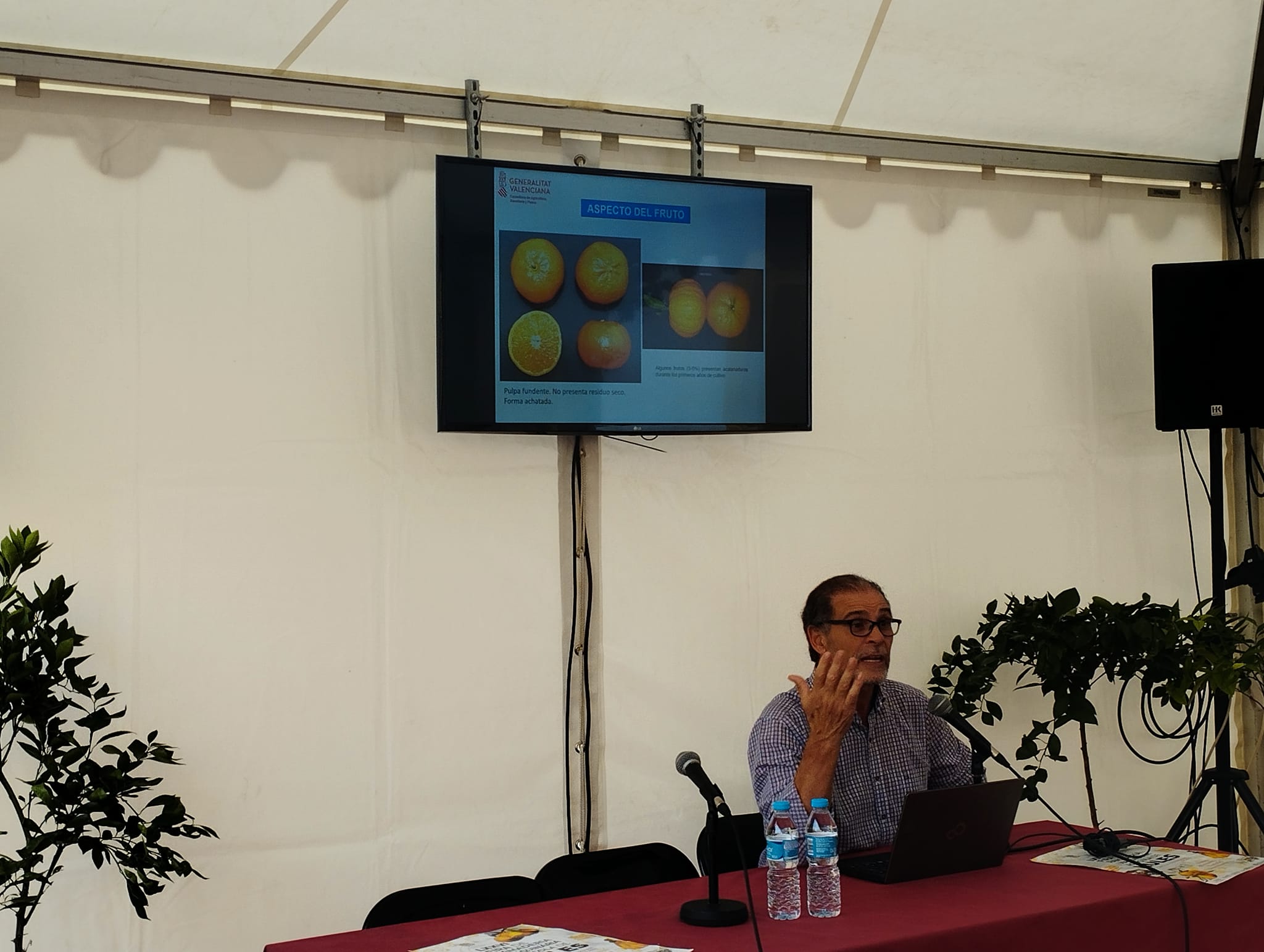 «Innovación en la Agricultura: Descubriendo las Nuevas Variedades de Clementina en la Feria Agrícola de Nules»